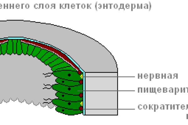 Кракен ат вход
