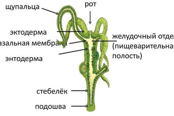 Пополнить кошелек кракен