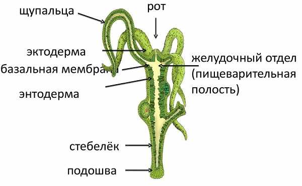 Маркетплейс кракен kraken